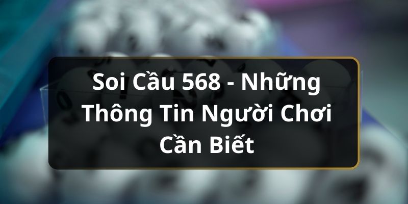 Soi Cầu 568 - Những Thông Tin Người Chơi Cần Biết
