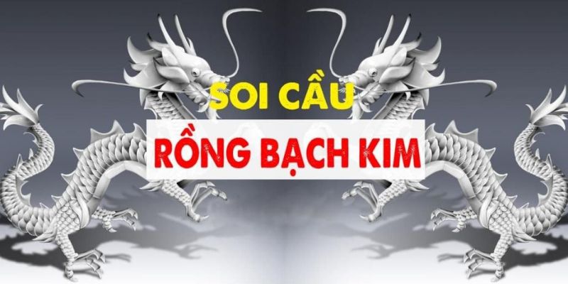 Giải mã khái niệm về soi cầu Rồng Bạch Kim là gì?
